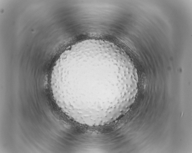 X0000088020502200706011328