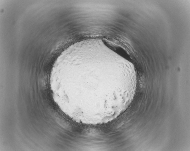 X0000088020503200706011328