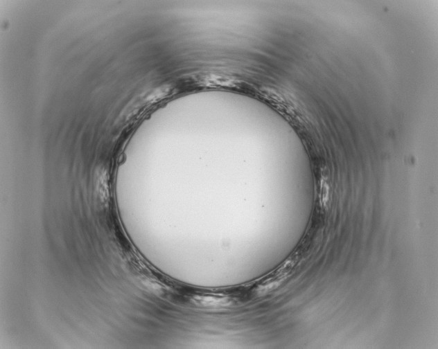 X0000088020506200706011328