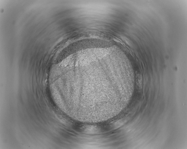 X0000088020507200706011328