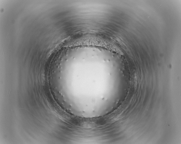 X0000088020508200706011328