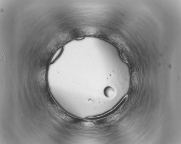 X0000088020509200706011328