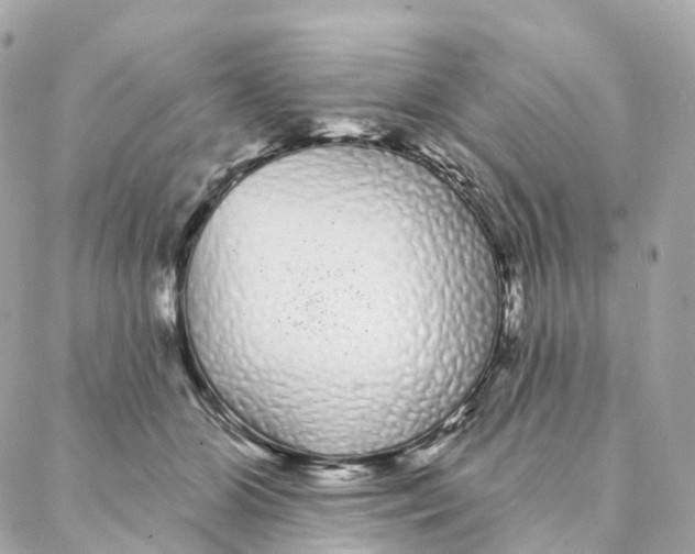 X0000088020510200706011327