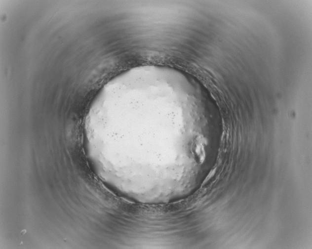 X0000088020511200706011327