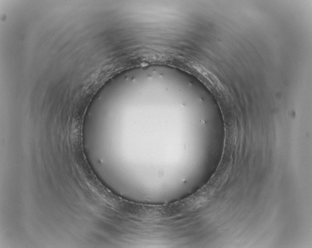 X0000088020513200706011327