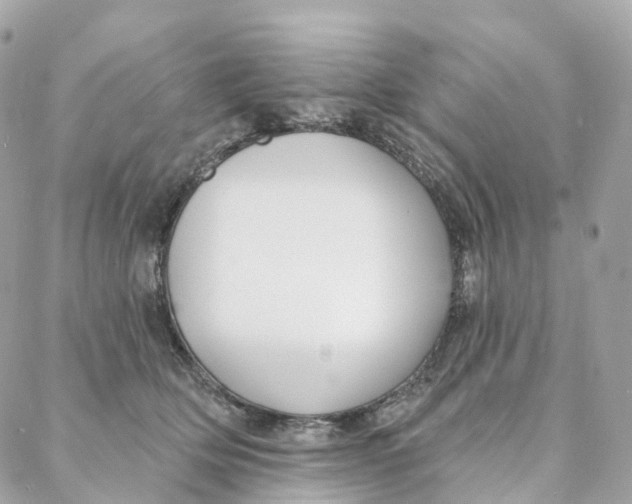 X0000088020514200706011327