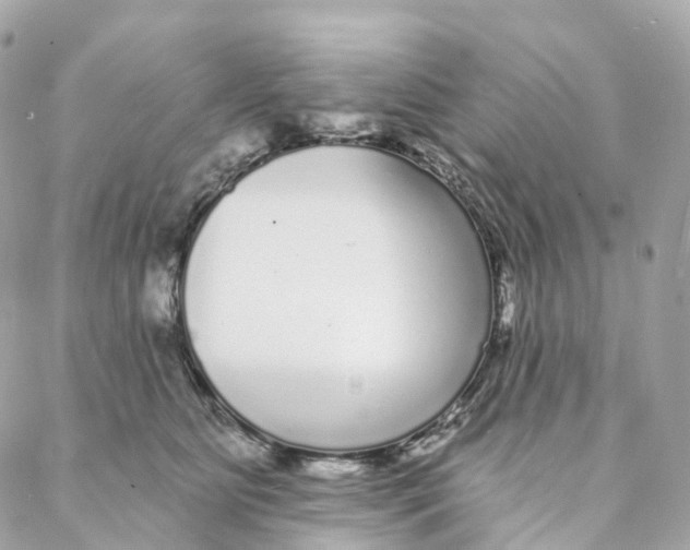 X0000088020515200706011327