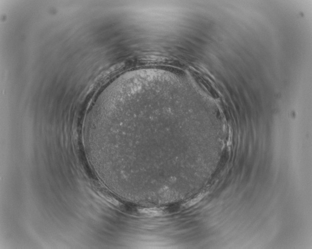 X0000088020516200706011327