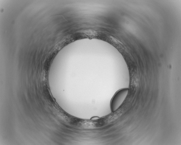 X0000088020518200706011327