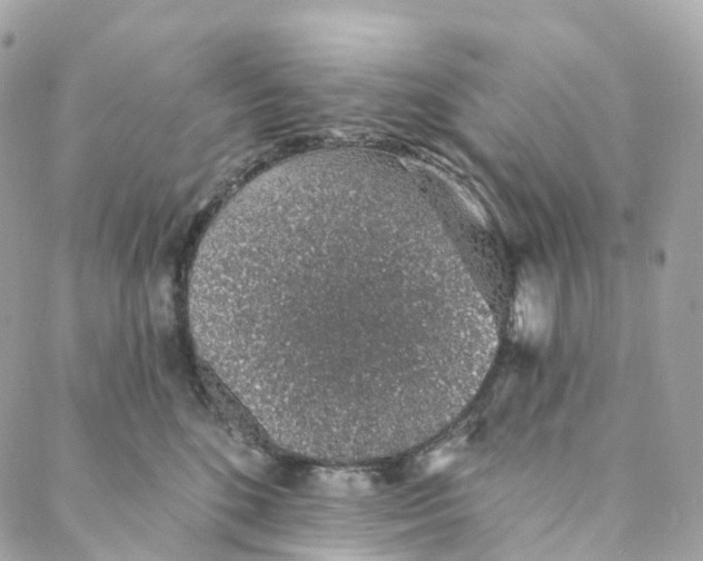 X0000088020520200706011327