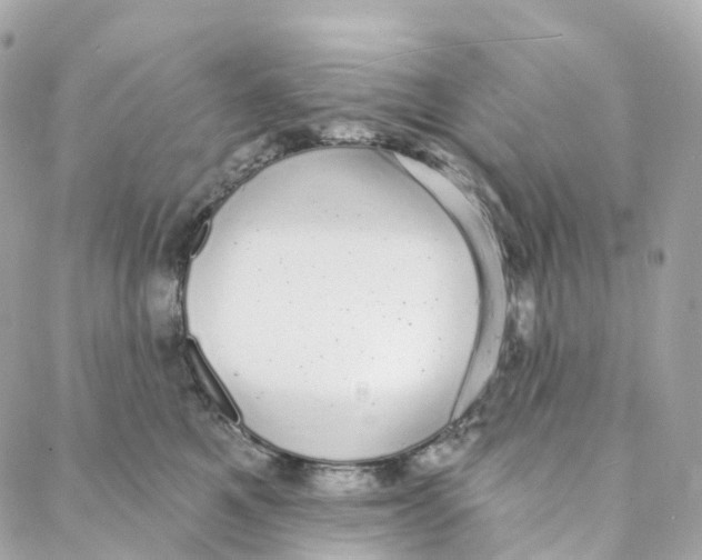 X0000088020521200706011327