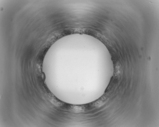 X0000088020522200706011327