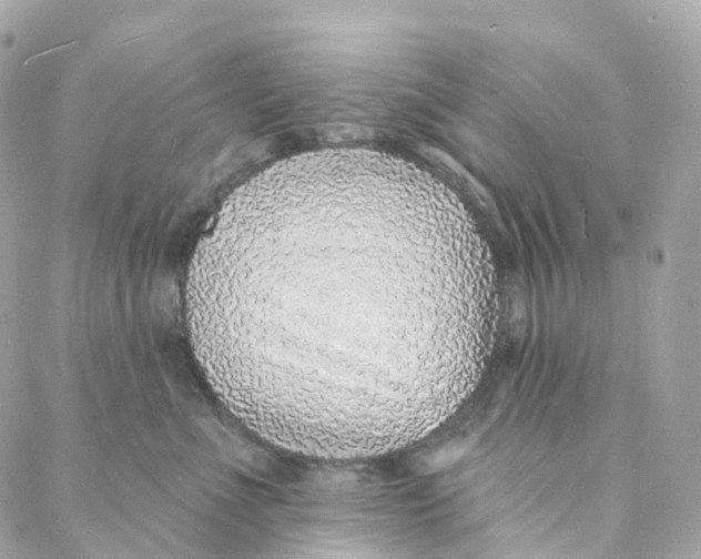 X0000088020523200706011327