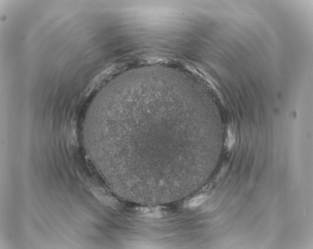 X0000088020524200706011327