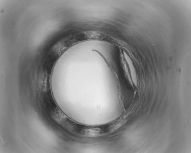 X0000088020525200706011327