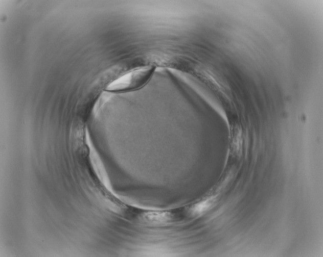 X0000088020526200706011327