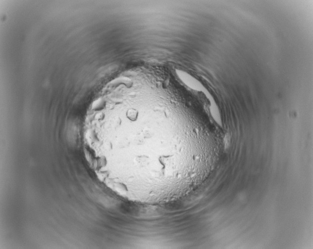 X0000088020527200706011327