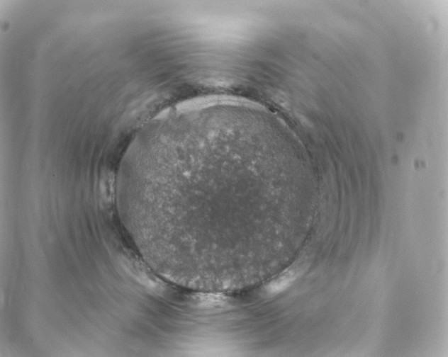 X0000088020528200706011327