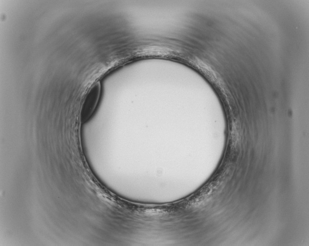 X0000088020529200706011326