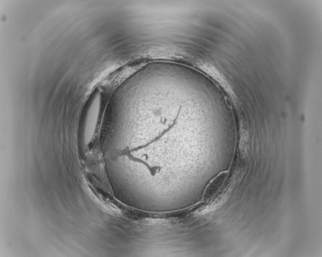 X0000088020530200706011326