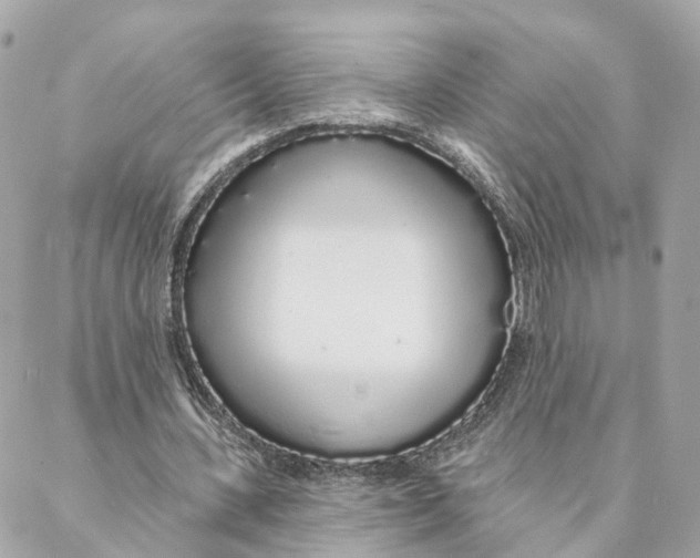 X0000088020531200706011326