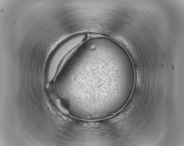 X0000088020532200706011326