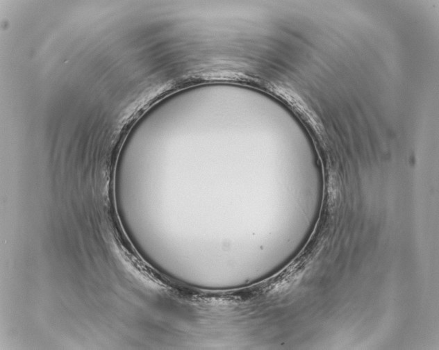 X0000088020533200706011326