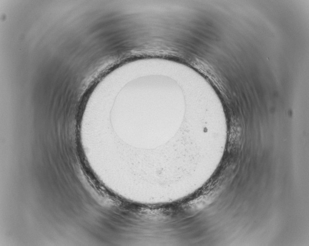 X0000088020534200706011327