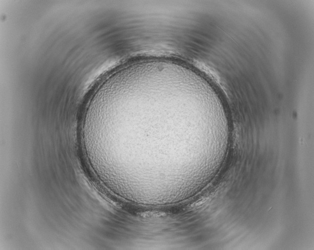 X0000088020535200706011327