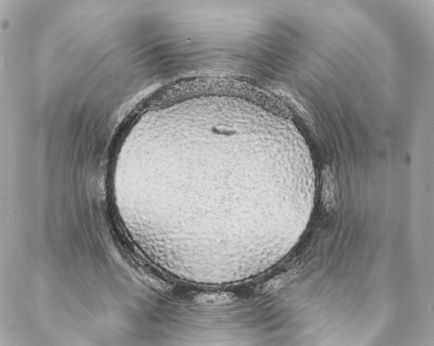 X0000088020536200706011327