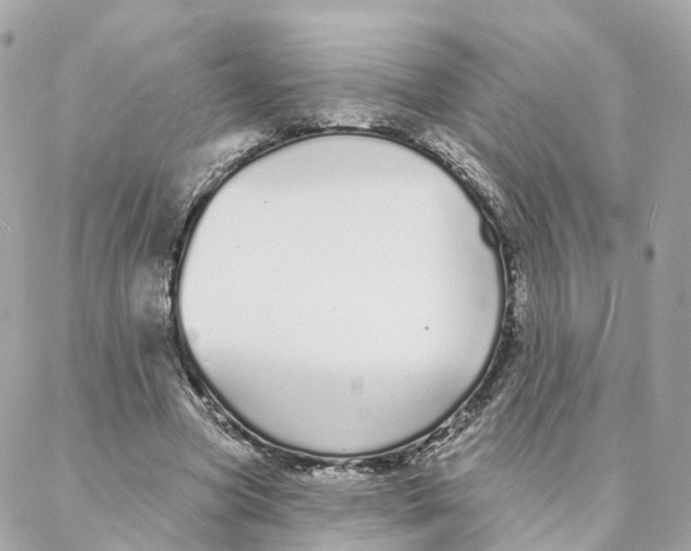 X0000088020537200706011327