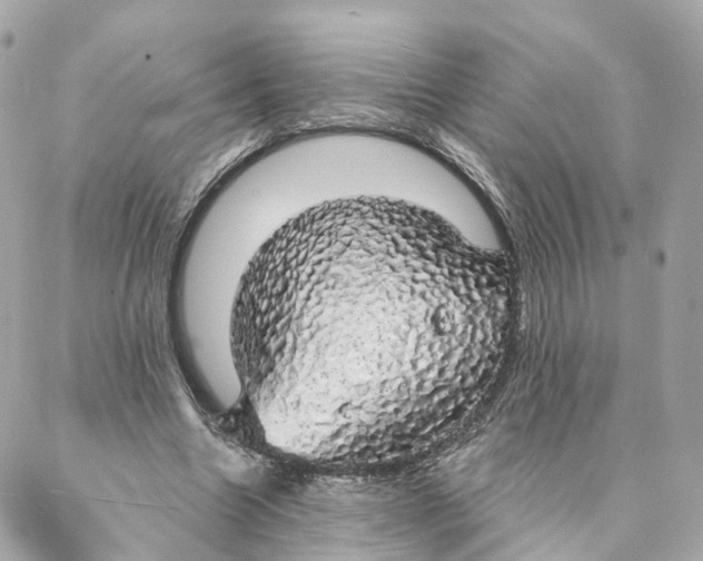 X0000088020538200706011327