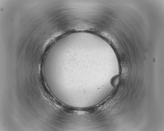 X0000088020539200706011327