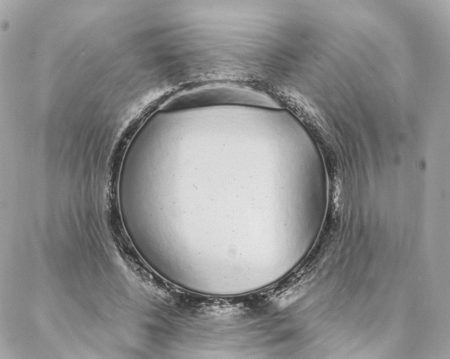 X0000088020540200706011327