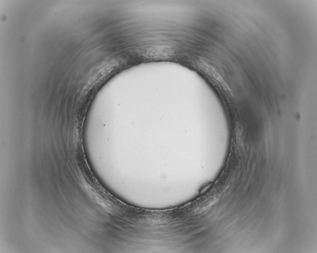 X0000088020541200706011327