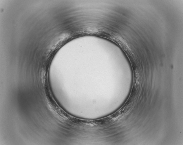 X0000088020542200706011327