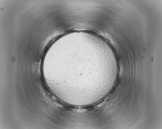 X0000088020543200706011327