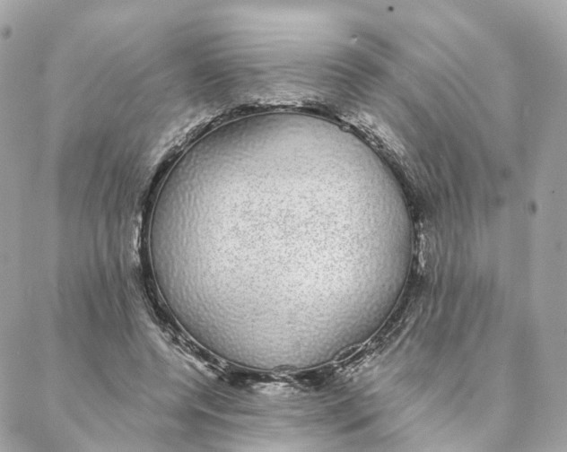 X0000088020544200706011327