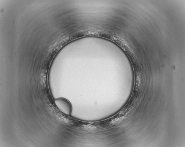 X0000088020545200706011327