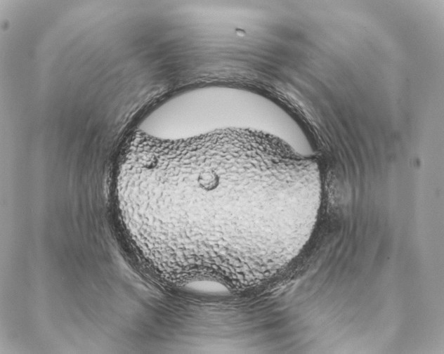 X0000088020546200706011327