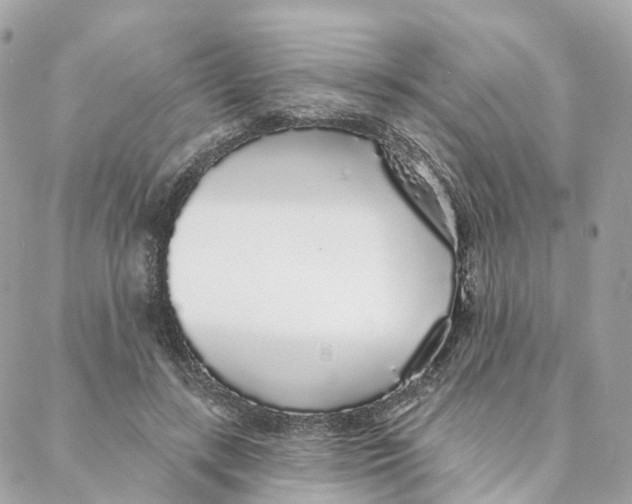 X0000088020547200706011327