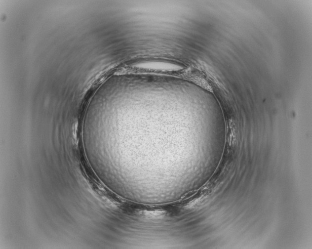 X0000088020548200706011327