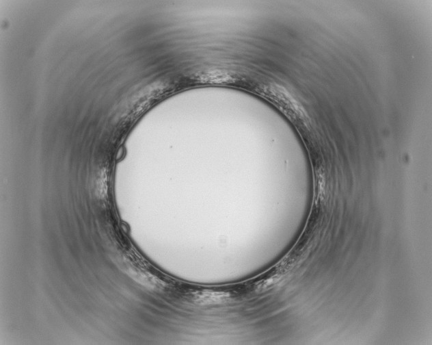 X0000088020549200706011327