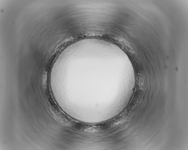 X0000088020550200706011327