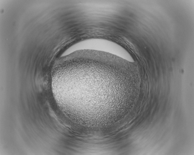 X0000088020552200706011327