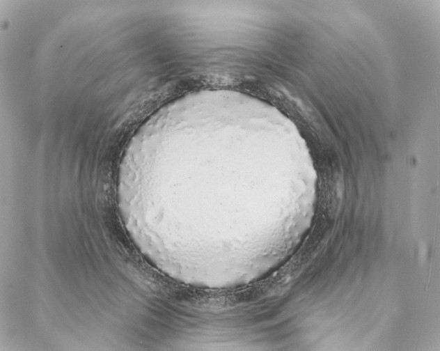 X0000088020553200706011327