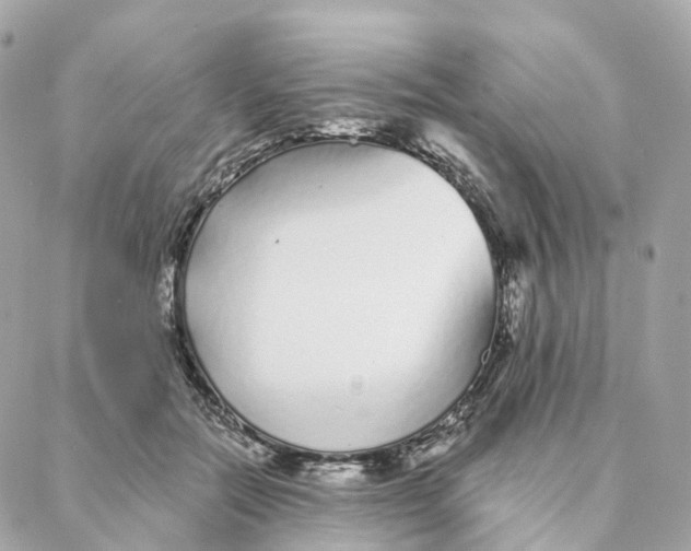 X0000088020554200706011327