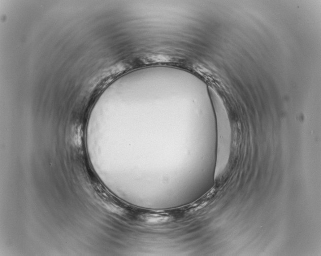 X0000088020555200706011327