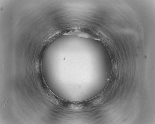 X0000088020556200706011327