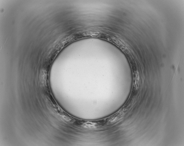 X0000088020557200706011327